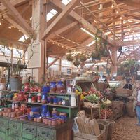  at Oranjezicht City Farm Market in Cape Town