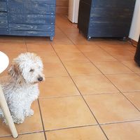  at Coffee + Matcha Bar in Basel