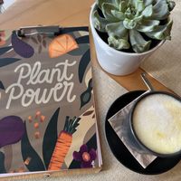 Golden milk   at Alubia plant power in Mallorca