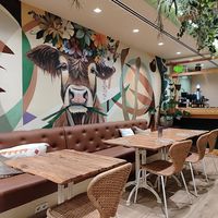 👌 at Alubia plant power in Mallorca