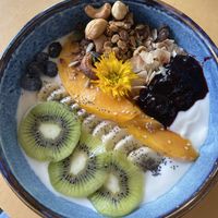 Yogurito  at Alubia plant power in Mallorca