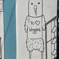 Me encantaron las paredes y sus mensajes  at La Veggi Guarida in Tepic