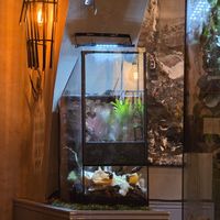  at ŠMAK in Bratislava