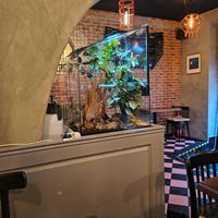  at ŠMAK in Bratislava