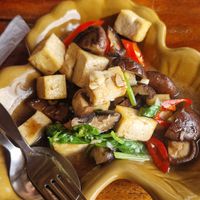 tasty tofu with mushrooms at Paradise Pearl in Koh Phi Phi
