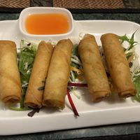 Vegan spring rolls - very good  at SomTum Thai in Wellington