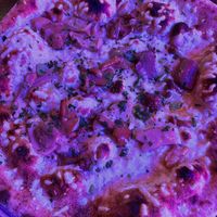 DAY TRIPPIN - vegan cheese, wild mushrooms, truffle oil and parsley. at Civerinos in Edinburgh