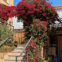  at Bakers Bench - Pop-up in Los Angeles