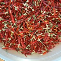 Georgian Kitchen Vegan & Vegetarierin  #Veganuary at BATUMI in Berlin