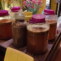  at V Vegan in Hoi An