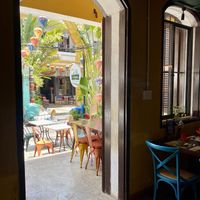   at V Vegan in Hoi An