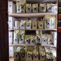 Coffee selection at Akrap Espressobar in Vienna