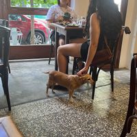   at Sheikob's Bagels in Buenos Aires