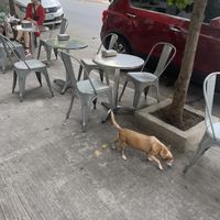   at Sheikob's Bagels in Buenos Aires