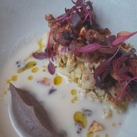 All vegan at De Houtloods in Tilburg