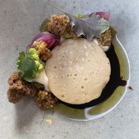   at De Houtloods in Tilburg