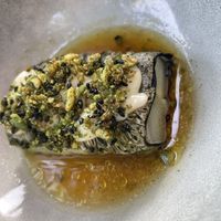   at De Houtloods in Tilburg