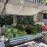 Verduras  at Feira Orgânica da Encruzilhada  in Recife