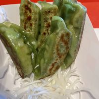 Closeup vegan potstickers  at Yugiri Ramen Project in Sanford
