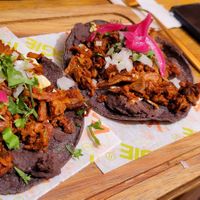 Choriseta Volcan at Vanggie in Queretaro