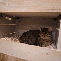  at La Fábrica de Huellas in Valencia