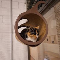  at La Fábrica de Huellas in Valencia