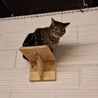  at La Fábrica de Huellas in Valencia