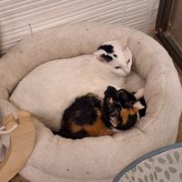  at La Fábrica de Huellas in Valencia