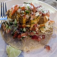  at Purple Rabbit Food Truck in Ascot Vale