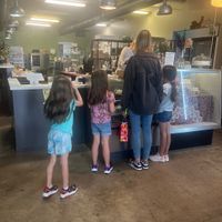 Food for everyone!  at Happy Chicks Bakery in Cincinnati