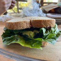 Veggie tapenade sandwich - made vegan for us at Escalante Mercantile and Natural Grocery in Escalante