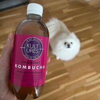  at Helsam in Copenhagen