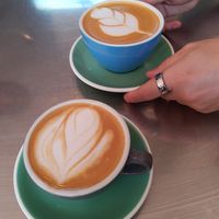 Coffee at The Birds & The Beets in Vancouver