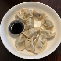 vegan boiled dumplings  at Bing Mi Dumpling and Noodle Bar in Portland