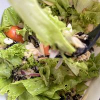   at WILD in Metro Manila