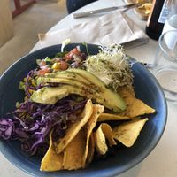   at Gallo Santo in Barcelona