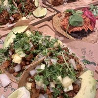   at Gallo Santo in Barcelona