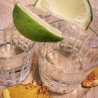   at Gallo Santo in Barcelona