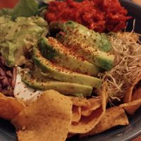  at Gallo Santo in Barcelona