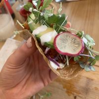   at Gallo Santo in Barcelona