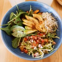  at Gallo Santo in Barcelona