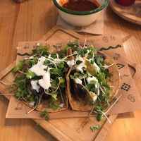   at Gallo Santo in Barcelona