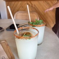  at Gallo Santo in Barcelona