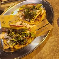  at Gallo Santo in Barcelona