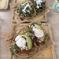 Carrot and shrooms tacos  at Gallo Santo in Barcelona
