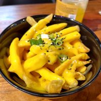  at Festgebissen in Jena