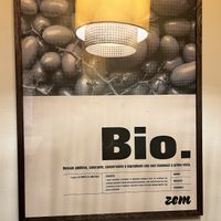   at ZEM Bistro in Bologna