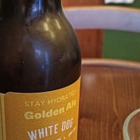 B at ZEM Bistro in Bologna