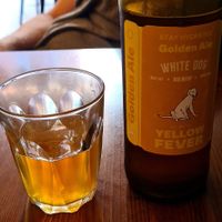  at ZEM Bistro in Bologna