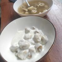 Tortellini in both versions (woth broth and woth panna / cream). Dont forget to add the nutritional yeast! at ZEM Bistro in Bologna